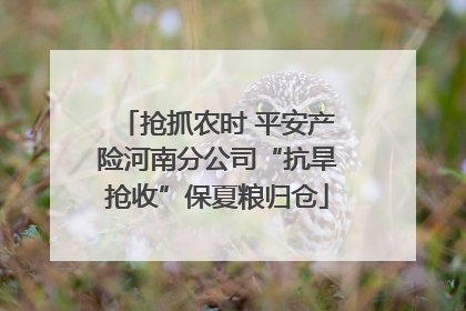 抢抓农时 平安产险河南分公司“抗旱抢收”保夏粮归仓