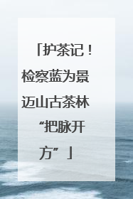护茶记！检察蓝为景迈山古茶林 “把脉开方”