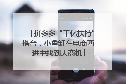 拼多多“千亿扶持”搭台，小鱼缸在电商西进中找到大商机