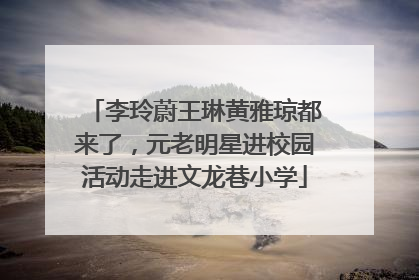 李玲蔚王琳黄雅琼都来了，元老明星进校园活动走进文龙巷小学