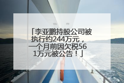 李亚鹏持股公司被执行约244万元，一个月前因欠税561万元被公告！