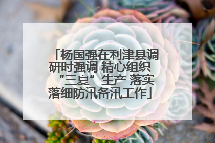 杨国强在利津县调研时强调 精心组织“三夏”生产 落实落细防汛备汛工作