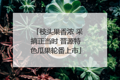 枝头果香浓 采摘正当时 晋源特色瓜果轮番上市
