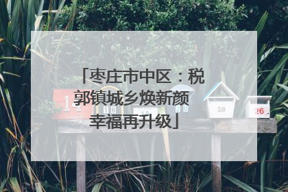枣庄市中区：税郭镇城乡焕新颜 幸福再升级