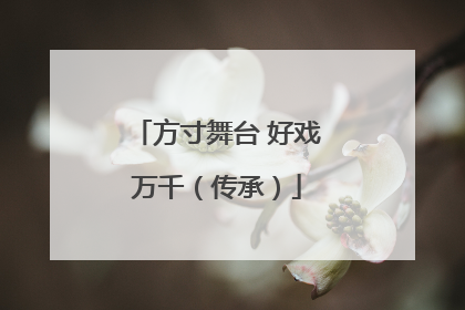 方寸舞台 好戏万千（传承）