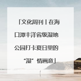 文化周刊丨在海口潭丰洋省级湿地公园打卡夏日里的“湿”情画意