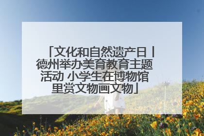 文化和自然遗产日丨德州举办美育教育主题活动 小学生在博物馆里赏文物画文物