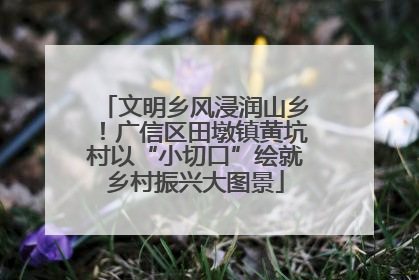 文明乡风浸润山乡！广信区田墩镇黄坑村以“小切口”绘就乡村振兴大图景