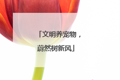 文明养宠物，蔚然树新风
