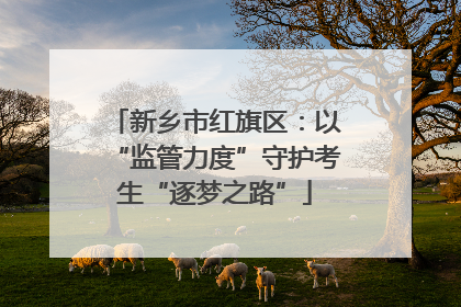 新乡市红旗区：以“监管力度”守护考生“逐梦之路”