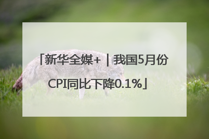 新华全媒+｜我国5月份CPI同比下降0.1%
