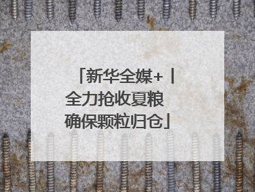 新华全媒+丨全力抢收夏粮 确保颗粒归仓