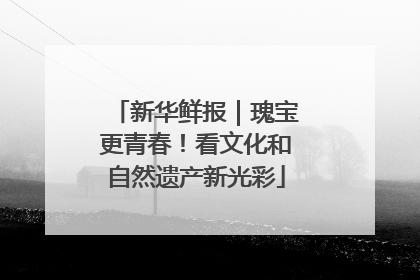 新华鲜报｜瑰宝更青春！看文化和自然遗产新光彩