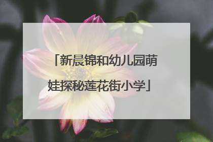 新晨锦和幼儿园萌娃探秘莲花街小学