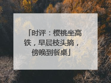时评：樱桃坐高铁，早晨枝头摘，傍晚到餐桌