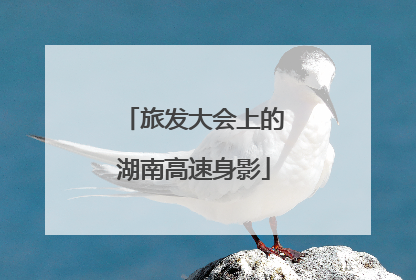 旅发大会上的湖南高速身影