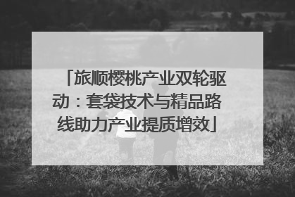 旅顺樱桃产业双轮驱动：套袋技术与精品路线助力产业提质增效