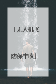无人机飞防保丰收