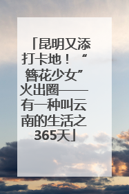 昆明又添打卡地！“簪花少女”火出圈——有一种叫云南的生活之365天