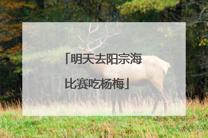 明天去阳宗海比赛吃杨梅