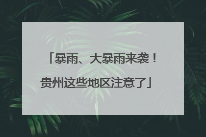 暴雨、大暴雨来袭！贵州这些地区注意了
