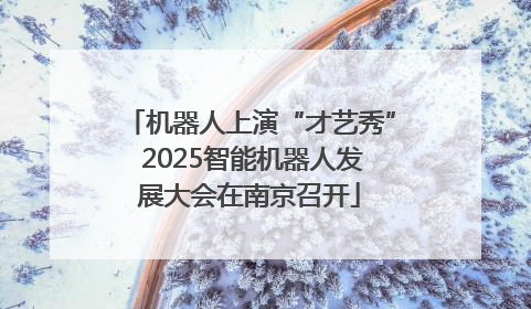 机器人上演“才艺秀” 2025智能机器人发展大会在南京召开