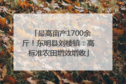 最高亩产1700余斤！东明县刘楼镇：高标准农田增效增收