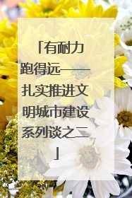 有耐力 跑得远——扎实推进文明城市建设系列谈之二