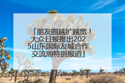 朋友圈越扩越宽！大众日报推出2025山东国际友城合作交流周特别报道
