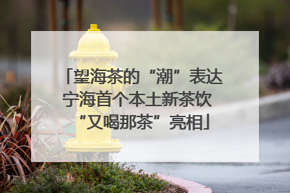 望海茶的“潮”表达 宁海首个本土新茶饮“又喝那茶”亮相
