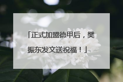 正式加盟德甲后，樊振东发文送祝福！