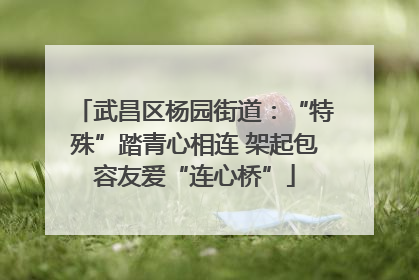 武昌区杨园街道：“特殊”踏青心相连 架起包容友爱“连心桥”