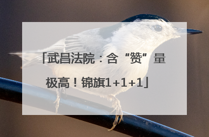武昌法院：含“赞”量极高！锦旗1+1+1