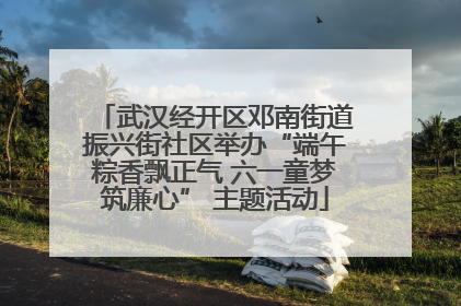 武汉经开区邓南街道振兴街社区举办“端午粽香飘正气 六一童梦筑廉心” 主题活动