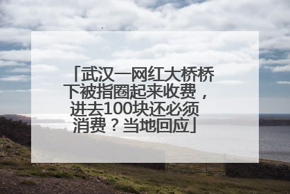 武汉一网红大桥桥下被指圈起来收费，进去100块还必须消费？当地回应