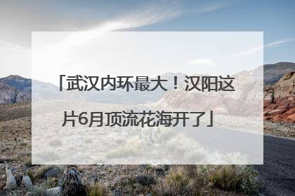 武汉内环最大！汉阳这片6月顶流花海开了