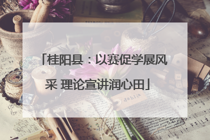 桂阳县：以赛促学展风采 理论宣讲润心田