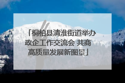 桐柏县清淮街道举办政企工作交流会 共商高质量发展新图景