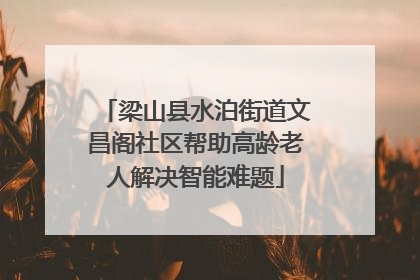 梁山县水泊街道文昌阁社区帮助高龄老人解决智能难题