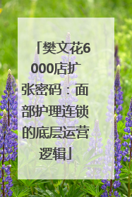 樊文花6000店扩张密码：面部护理连锁的底层运营逻辑