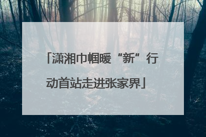 潇湘巾帼暖“新”行动首站走进张家界