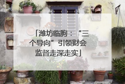 潍坊临朐：“三个导向”引领财会监督走深走实
