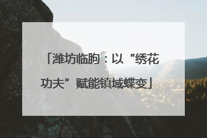 潍坊临朐：以“绣花功夫”赋能镇域蝶变