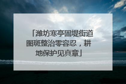 潍坊寒亭固堤街道图斑整治零容忍，耕地保护见真章