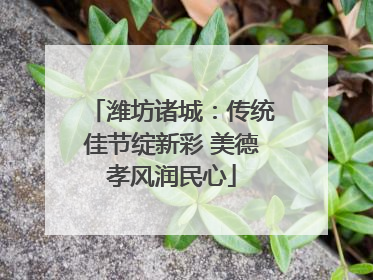 潍坊诸城：传统佳节绽新彩 美德孝风润民心