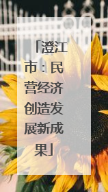 澄江市：民营经济创造发展新成果