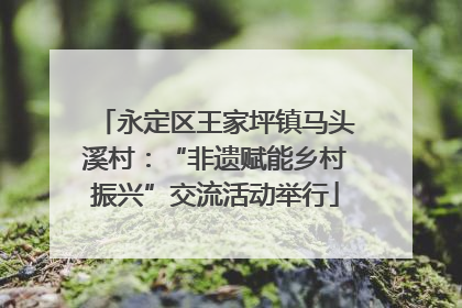 永定区王家坪镇马头溪村：“非遗赋能乡村振兴”交流活动举行
