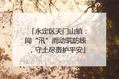 永定区天门山镇：闻“汛”而动筑防线，守土尽责护平安