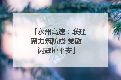 永州高速：联建聚力筑防线 党徽闪耀护平安