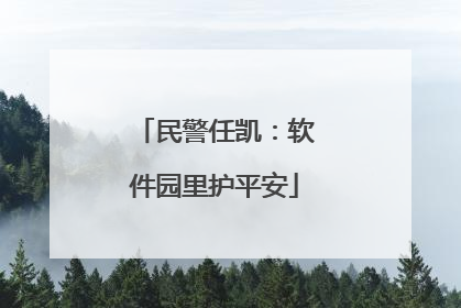 民警任凯：软件园里护平安